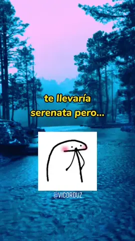 🥺Te llevaría serenata pero no creo que el mariachi se sepa la de: @CKay  #lovenwantiti #lovenwantitichallenge #parati #foryoupage #humor #fypシ #viral