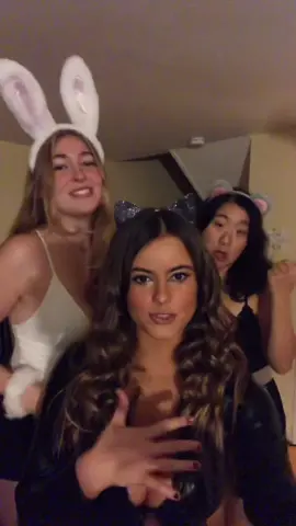 #meangirls #halloween #tacobell