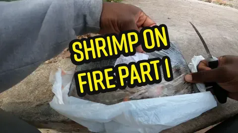 Shrimp on fire Part 1#fishinglife #Catfishing #fisherman #fishing #Aloftv #fishing