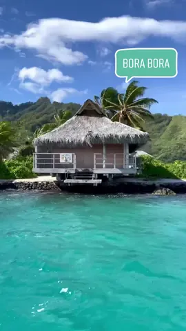 Isn’t this place unreal? #borabora #frenchpolynesia #foryou #vacations #beautifulplacestotravel #PlacesToVisit #nckstagram