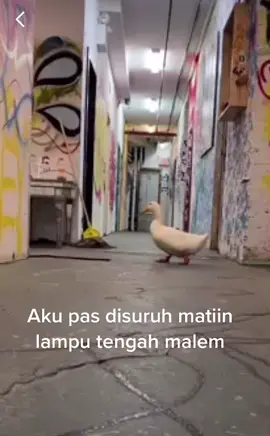 Takut dikejar, tp gatau dikejar apa 😩#FindYourSkinMate #fypシ #ReadyToNuGlow #MantapnyaKebersamaan #Tokopedia12Tahun #MusikIndonesiadiSpotify #bebeklari #kabur #takut