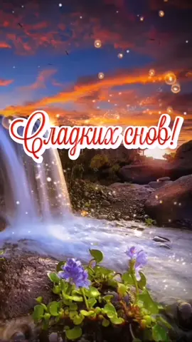 Приятного Вам вечера и чудесных снов! 😘💗💖💗#приятныхсновидений #сладкихснов🌜🌜🌜 #спокойнойночи #приятныхснов #сладкихснов
