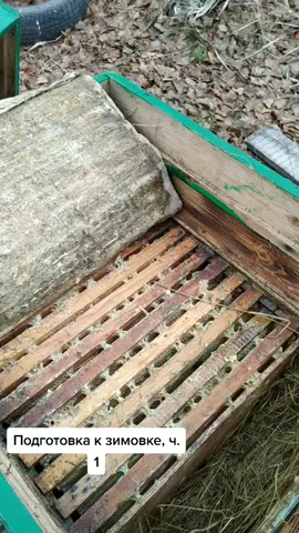 #пчёлыпасекамёд