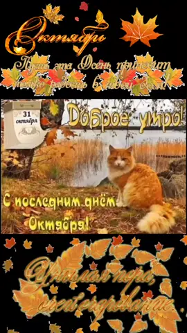 #31октября #последнийденьоктября #👋👋👋