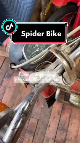 Spider on a bike? Or Bike on a spider? #motorcycle #honda #spider #restoration #clean