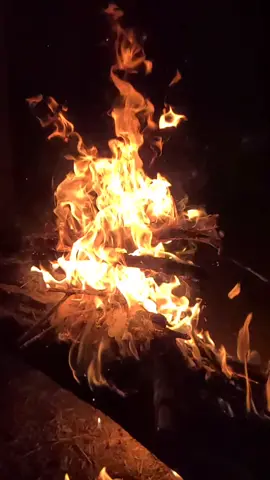 #огонь #огонь🔥  #костер #огоньмедленно #пламя #красиво #реллакс