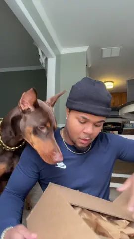 Man we love our Barkboxes 📦 #fyp#viral#barkbox @BARK #knox