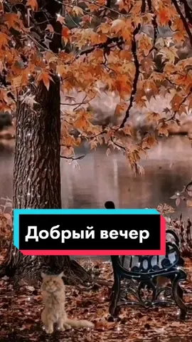 #поздравляювтикток