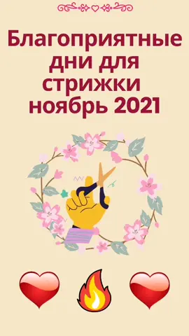 #гороскоп стрижек ноябрь 💖