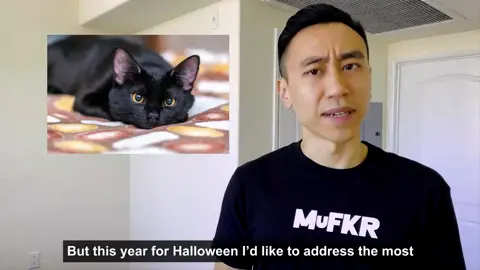 Black Cats Lives Matter 🐈‍⬛😊              Full video on YouTube! #MuFKR