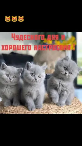 ДОБРОЕ УТРО.😻😻😻