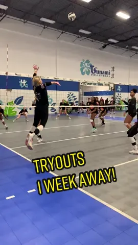 15U-18U tryouts is next Sunday!   Nov. 7th.   Register with the link in our bio!  #volleyball #tryouts #volleyballtryouts #volleyballgirls #volleyballer #volleyballworld #volleyballthings #volleyballhighlights #volleyballplays #tsunamivolleyball