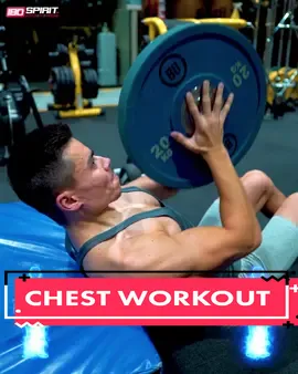 CHEST WORKOUT. INCLINE PLATE PINCH PRESS. #ibospirit #gym #foryou #Fitness #fyp #uae #chest #plate