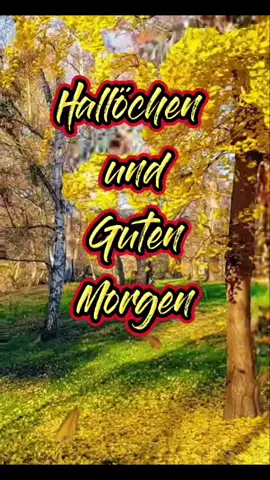 #morgengrüße #nowember #fürdich #foryou #tag #nature