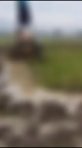 #fyp #kerjakeras #btsanjingplastik