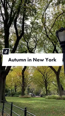 Autumn in New York is a dream 🤎🍂 #nyc #centralpark #fallfoliage