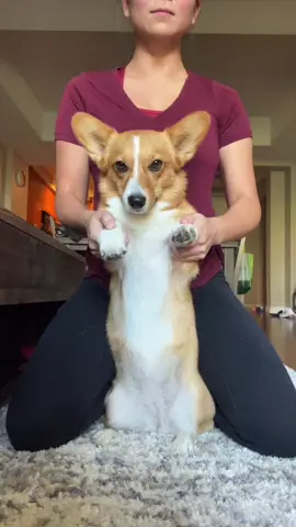 Wishin I had boots with fur! #corgis #PUBGMOBILE #MMKx007 #SaveIt4TheEndZone #fyp.