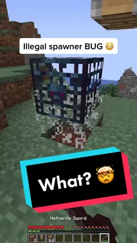 Did you know that?😳 #Minecraft #minecrafthacks #minecraftsecret #minecrafttutorial #minecraftmemes #minecraftspawner #bug #mcシ #foryou1 #fürdichseite