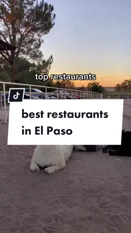 the food scene in El Paso 👌🏼 #elpaso #Foodie #texas #vacation #elpasotx