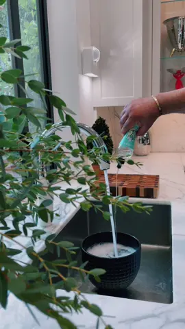 Tomato Tomahto 🍅 #asmr