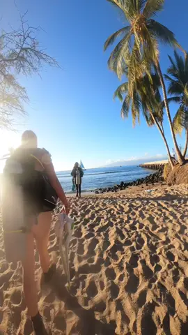 Dive a sunken pier in search of sharks with us 🦈 #Dive #DiveWithUs #Sharks #Turtles #Treasures #Scuba #fyp #Hawaii #Play #Ocean #MomLife #PUBGMOBILE