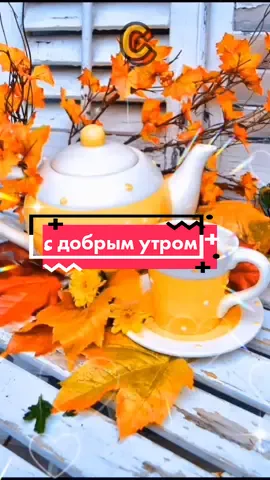 #поздравляювТикТок