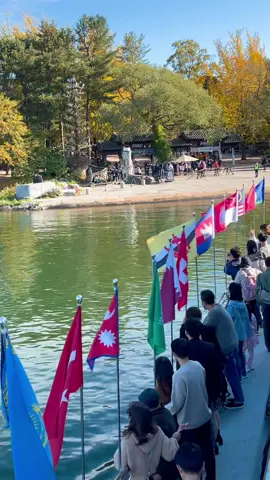 Take a trip to Nami Island or ‘Namiseom (남이섬)’ #autumn #southkorea #seoul #kdrama #nami