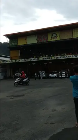 #ayonaikbus🚌 #bispariwisata #bismania #telolet #garut #kidspanda #tunggaljayatransport #fypシ #beranda