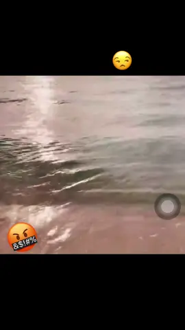 **NEW VIDEO**‼️‼️‼️ Vote Next week topic video! #youtube #youtubechannel #youtuber #adulting #adultlife #independent #struggleisreal #Bills