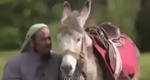 #رياكشنات #والله_لادعس_عليك #حمار_اليوم #بيستي #ياحلوكم #صدام_يابو_عدي_ليموني_ياليموني