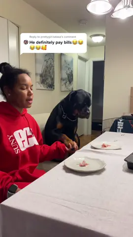 Reply to @prettygirl.tataaa  he has a seat at the dinner table 😂💀 #TheHarderTheyFall #rottweiler #dogsofttiktok #youredone #bestfriend