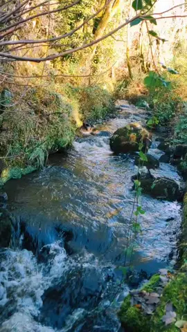 Relax to nature!#relax #3minrelax #nature #naturesounds #anxiety #stress #relief