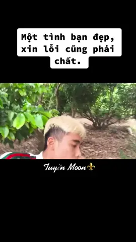 Chỉ có thể xem lại những clip cũ thôi 😮‍💨#namok_phương_ngọc_luyến