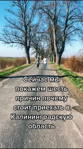 Захотелось приехать?)#путешествие #городароссии #города_тикток #калининград #кенинсберг #калининградскаяобласть #города #россия #красотаприроды