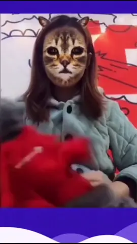 #animals #pet #funny #cute #catsoftiktok #cat #tiktok #fyp