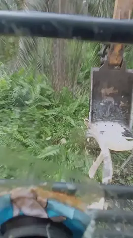 tetep semangat 💪#operator Chiping kelapa sawit 💪#operatormuda #Fyp