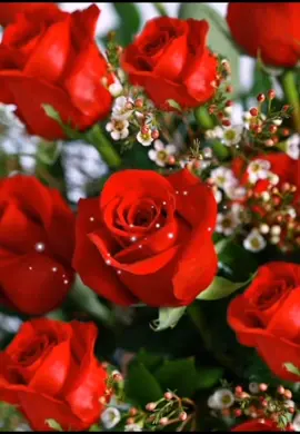 #жене #любимой #любимойжене🌹🌹🌹💗💗💗💕💕💕 #ялюблютебя #королеве #милой