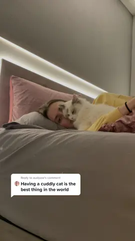 Reply to @audpow More cuddling videos featuring Clementine and Casper. Can you guess which one is obsessed with me the most?