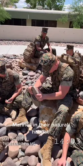Hurry up and ...wait#marines #29palms #fypシ #caveman