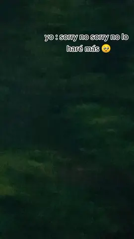 #greenscreen #parati #fyp #fyp #fyp mor si ves esto perdón 🥺🥺