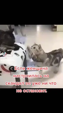 #Прорвемся #Кайфуем #Поржем