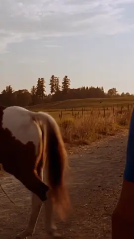 Mi escena favorita de SMALLVILLE❤️👌#tomwelling #Smallville #clarkkent #Lanalang #kristinekruke #Clarkandlana #Edit