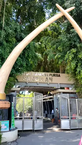 #Sangiran #MuseumSangiran