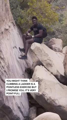 Reply to @kybry1 Active And Confident Dogs For Active And Confident Lifestyles ~ #DogTraining #gooddog #doglovers #malinois #fyp #foryou #fypシ #trending #viral