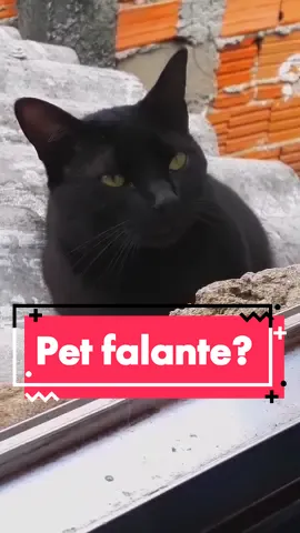 Na minha cabeça eles falam assim 😂 #gatopreto #gato #gatos #gatostiktok #fypシ゚viral #vaiproforyou #humor #comédia #dublagens