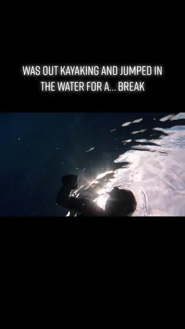 Hopped in the water to cool off & pee 🙃 & had company!    #Hawaii #Swim #Dive #surprise #JustDanceWithCamila #fyp #Whales #happy #LevisMusicProject