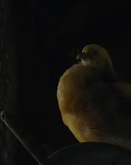 ﷽  #islam #muslim #muslimah #исламрелигия #ислам #Аллах #аллахвелик #коран #коранчтение #мусульманин #мусульмане #мусульманка