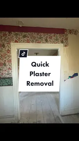 Is this considered a mud room? I’m never sure what to call it 😂 #oldhouse #renovation #plaster #removal #weekendproject