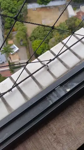 E meu celular que caiu do 26° andar 😭😭😭😭😭😭😭😭