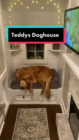 The famous doghouse, complete with a Playdog magazine and all.